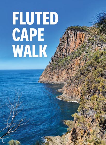 Fluted Cape Walk