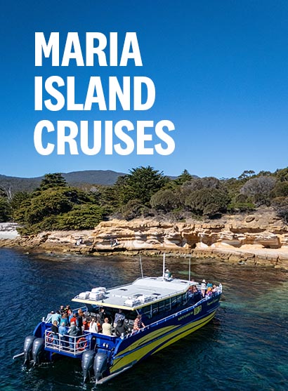 Maria Island Cruises