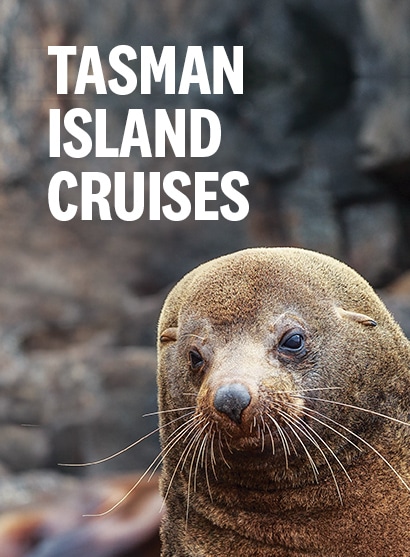 Tasman Island Cruises
